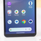 Sony Xperia 10 V